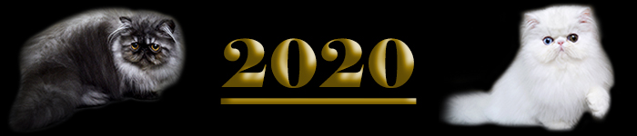 miot2020 (18 kB)